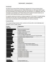 Eisg Brachaidh - Scoping Report Minutes & Appendices 